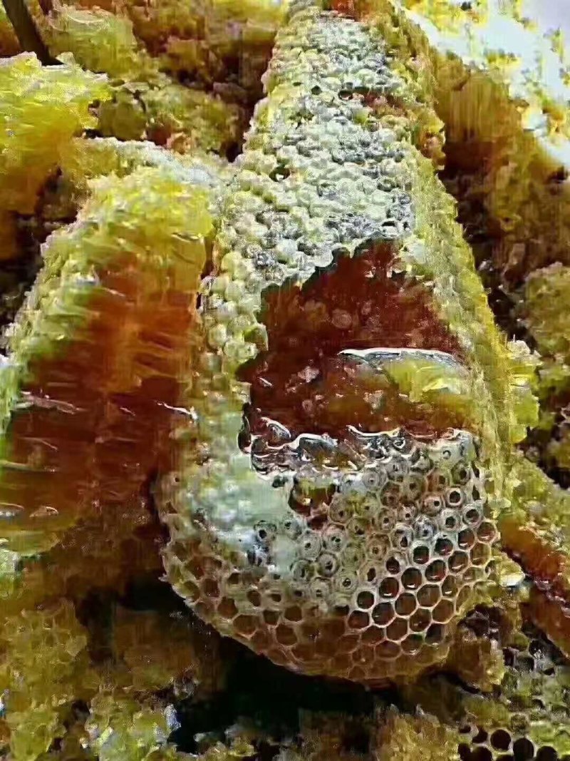 土蜂蜜一斤