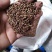 今年新黑小麦大量上市供应陆地自然成熟好吃不贵
