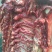 新鲜驴肉，驴肉五分体，带皮驴肉，