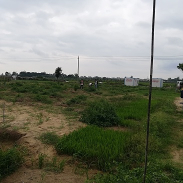 山地，林地，未开发用地