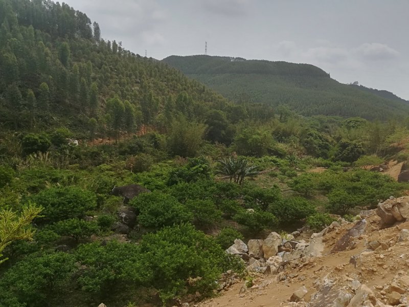 山地，林地，未开发用地