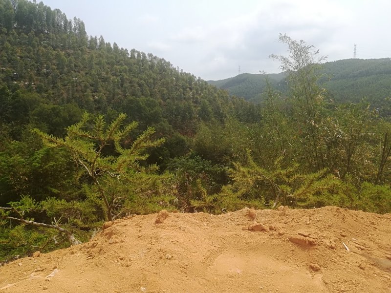 山地，林地，未开发用地