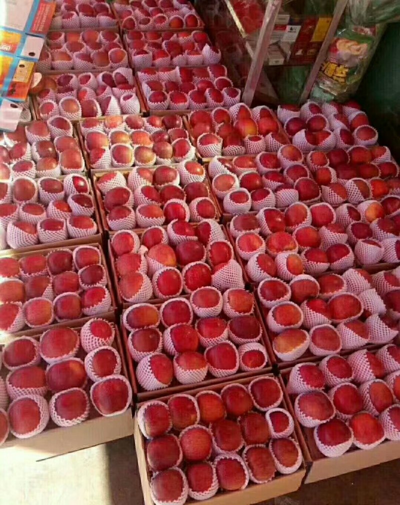 盐源苹果