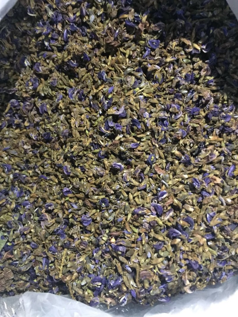 葛花小葛花