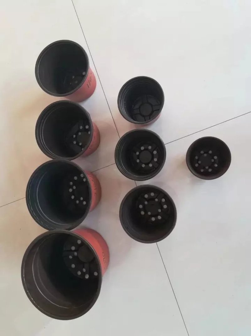 简易加厚双色花盆一次性塑料花盆大号培育盆