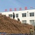 苹果苗、基地批发、品种齐全、量大价格低