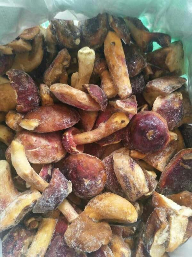 供应云南天然野生红葱菌鲜品！冻品！干品！