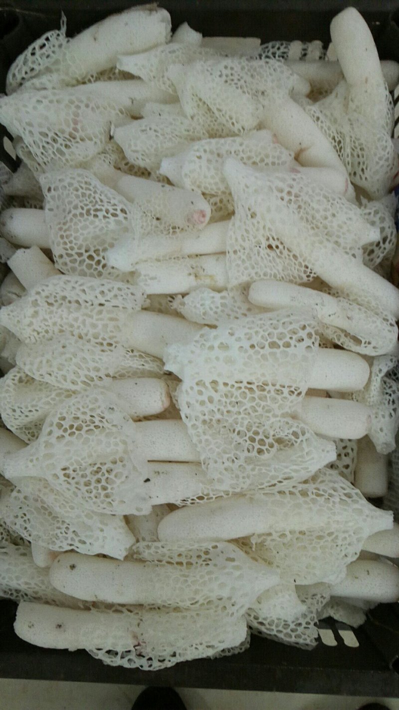 竹荪，火锅最佳拍档，润肺