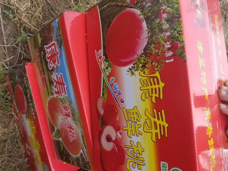 中华寿桃苗木批发销售采摘观光旅游，迎霜红品种，叶森蜜桃