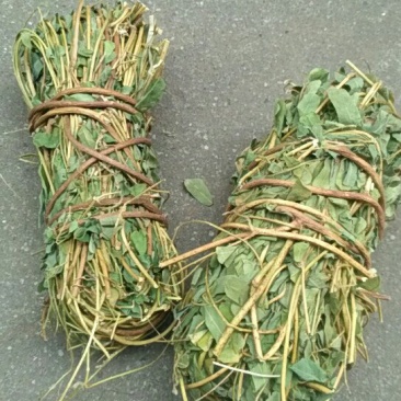 野生小把鸡骨