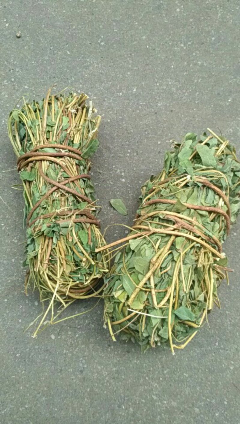 野生小把鸡骨