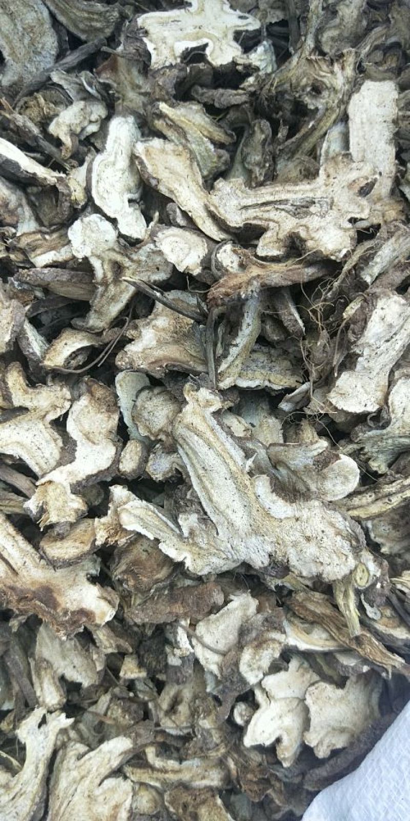 提供种苗、采购白芷、知母、丹参鲜货