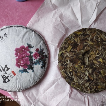 2018年太姥山脉农家出产福鼎白茶牡丹饼