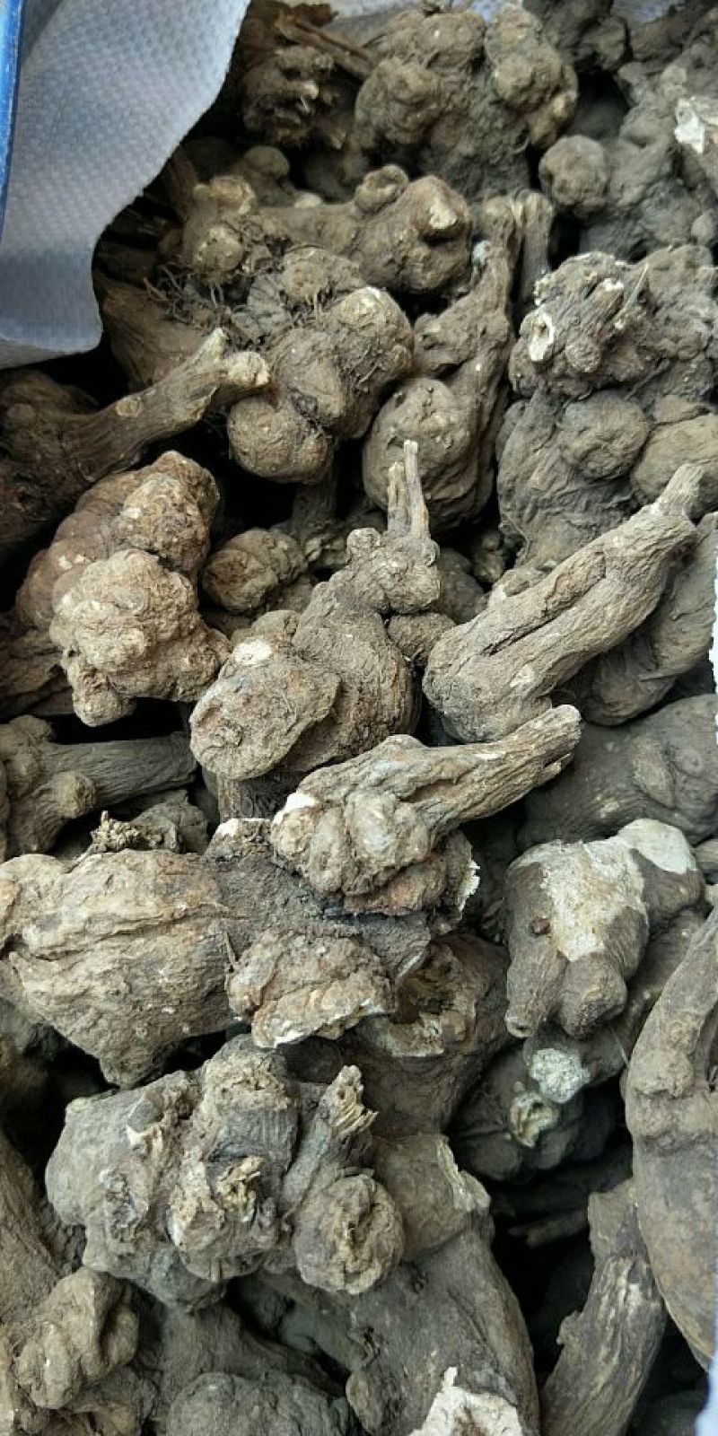 中药材种植专用合作社