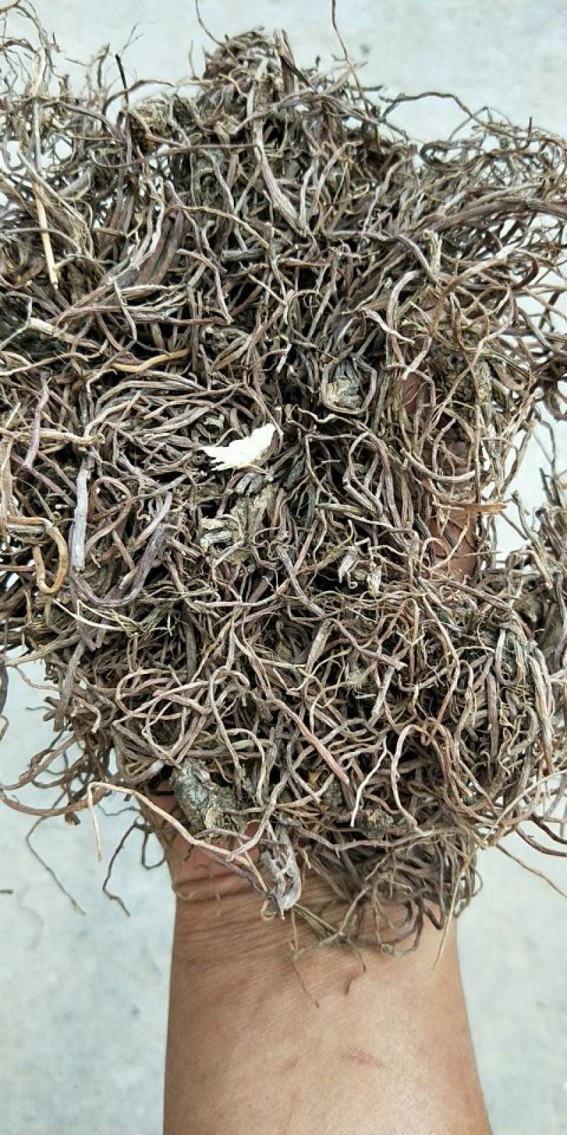 中药材种植专用合作社