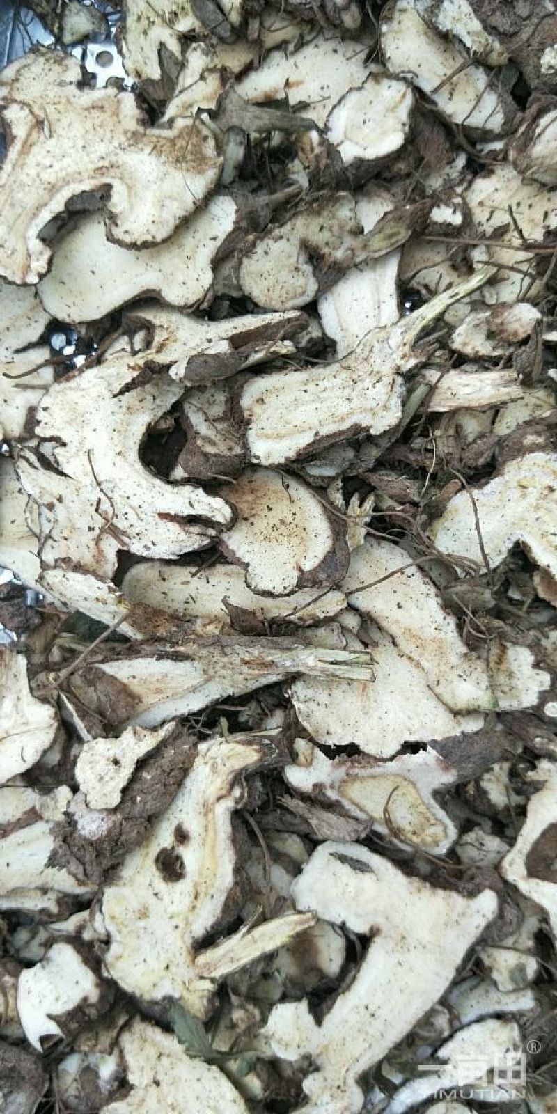 中药材种植专用合作社