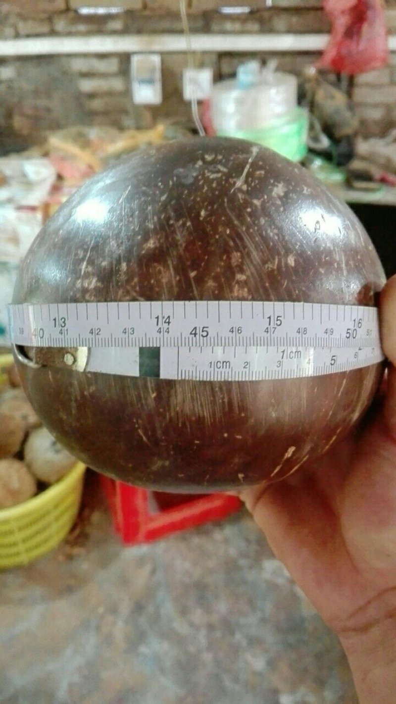 特大的椰子皇，👍👍👍