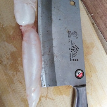 鱼泡
