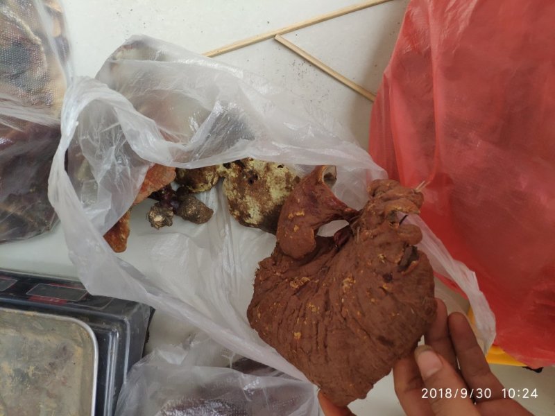 云南野生灵芝天然无硫加工