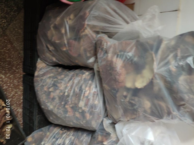 云南野生灵芝现货供应批发零售