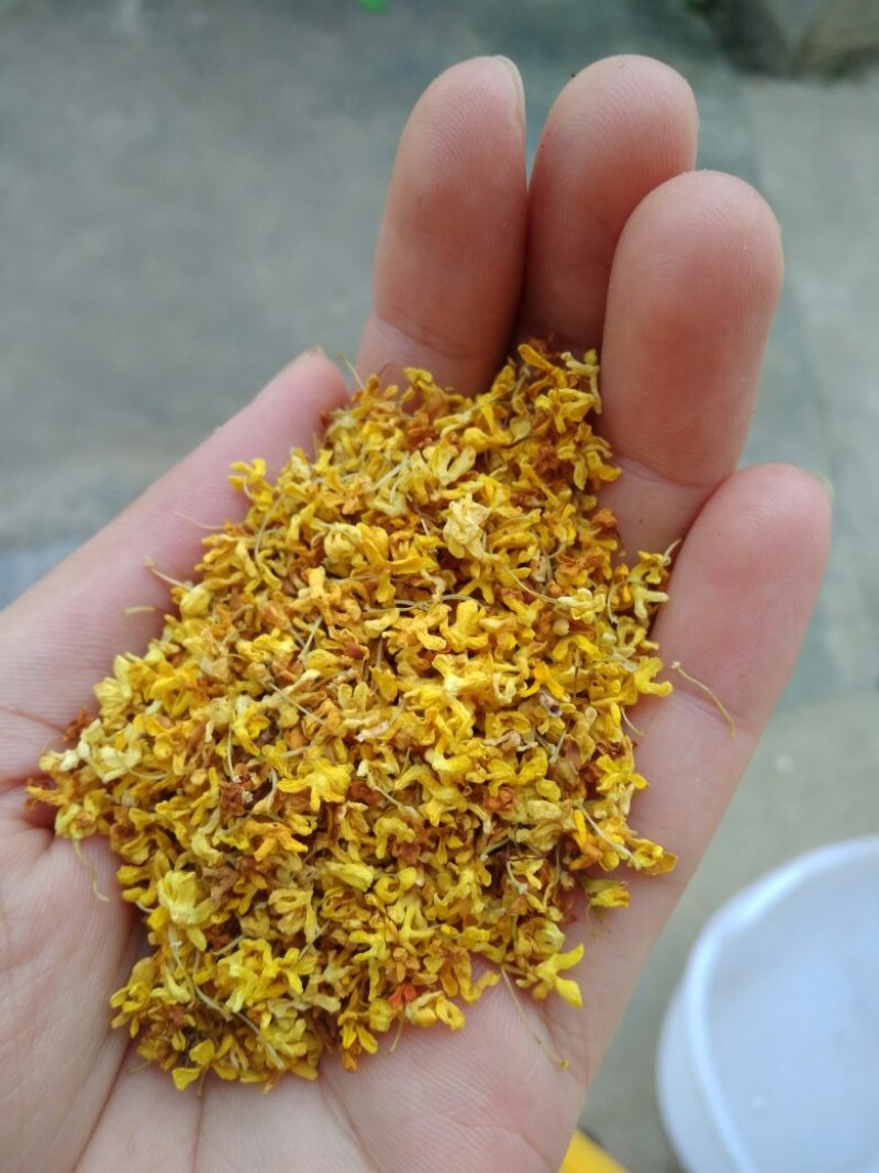 干桂花，有无硫花，自己加工，一手货源价格优惠