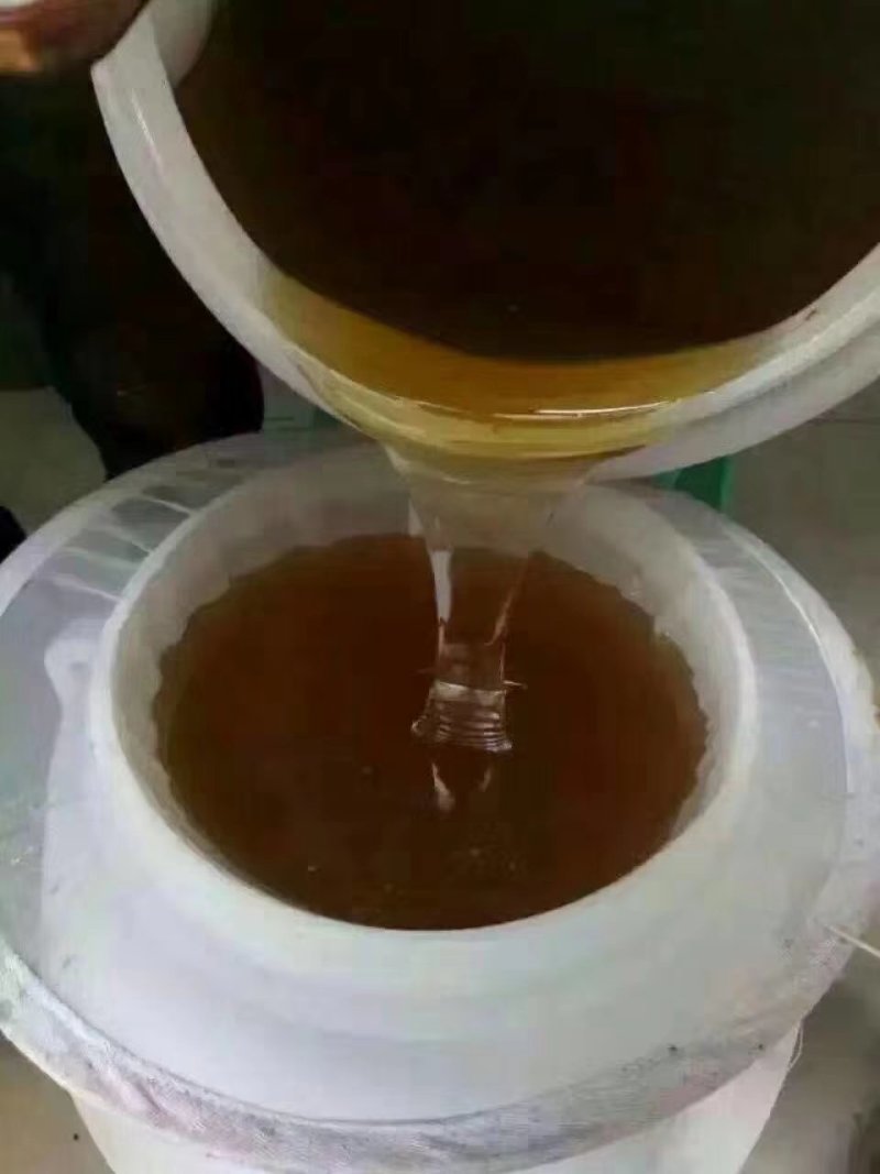 广西散养龙眼蜜，1斤48块，包邮批发一件代发