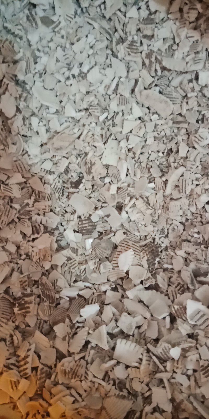 瓦楞子矿石类批发各种中药材批发零售各种规格