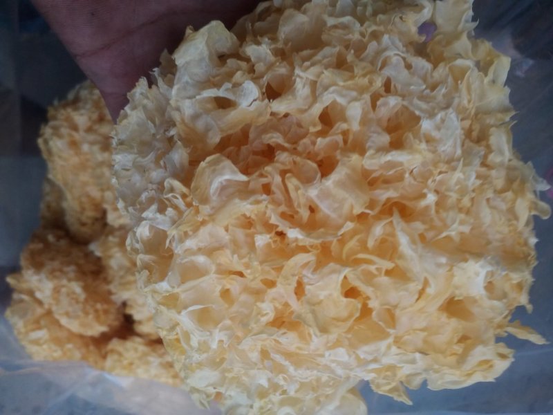 银耳产地直销银耳，量大优惠，银耳，食用菌，干货。