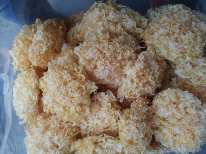银耳产地直销银耳，量大优惠，银耳，食用菌，干货。