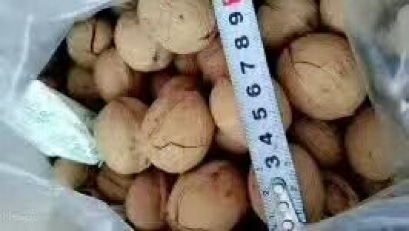 炒熟奶油味核桃