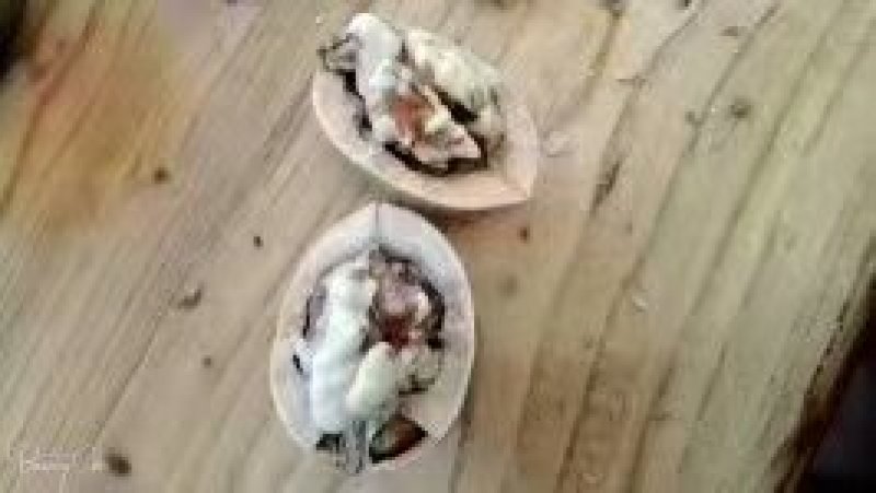 炒熟奶油味核桃