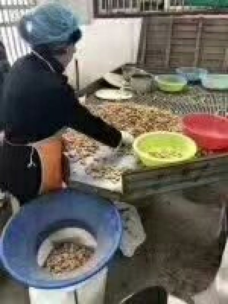 巴旦木