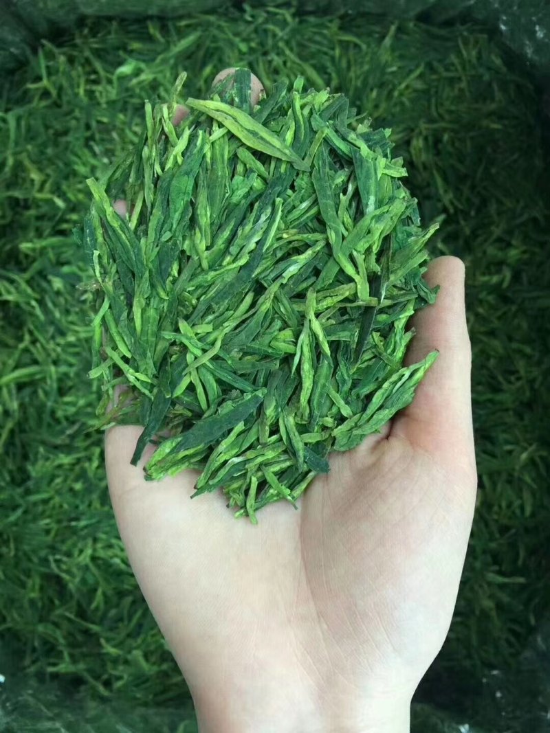 第一龙井