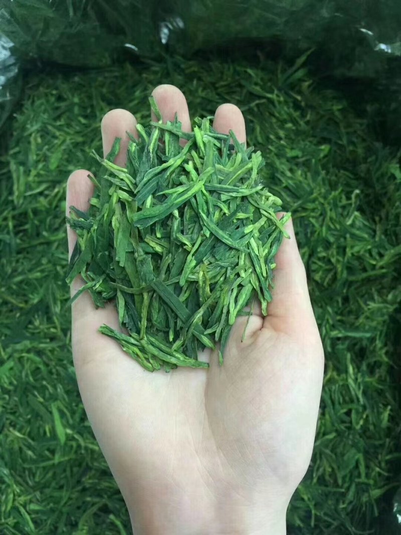 第一龙井