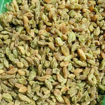 新疆特产葡萄干吐鲁番葡萄干无核葡萄干散装葡萄干奶茶专用