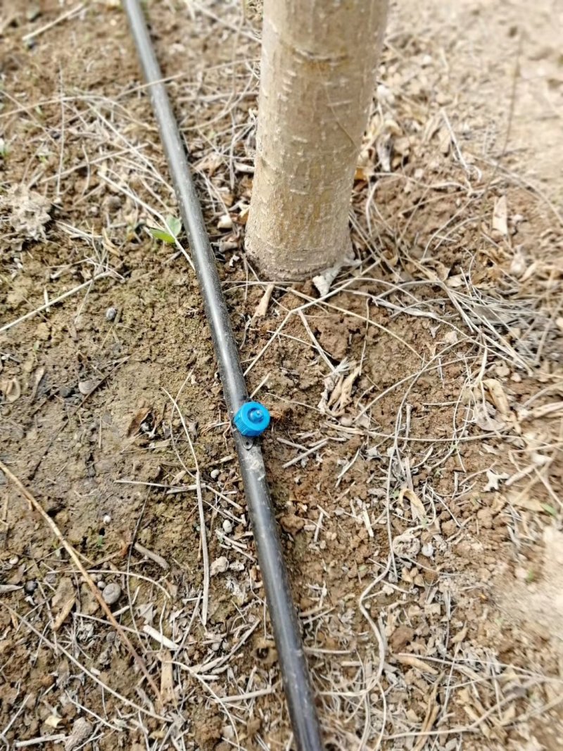 滴灌喷灌压力补偿滴头