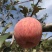 陕西红富士苹果🍎