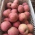 陕西红富士苹果🍎