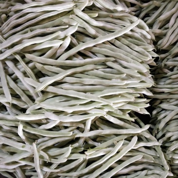 白豆角