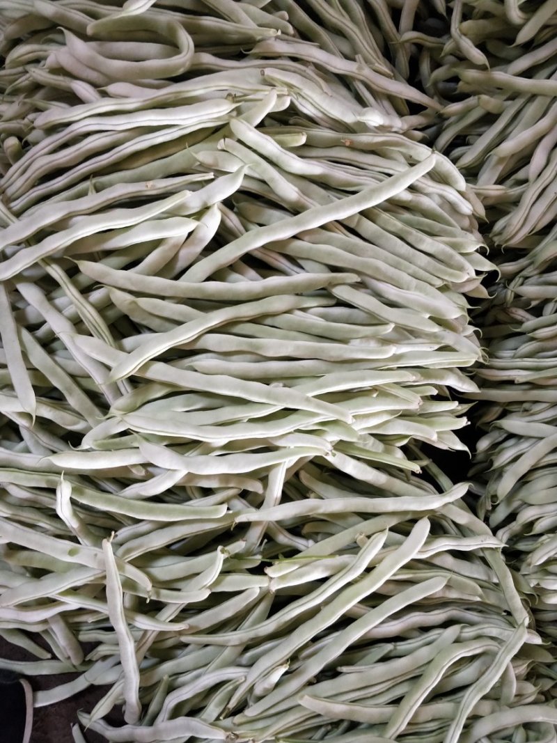 白豆角