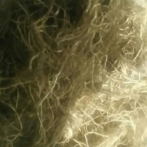 龙胆草