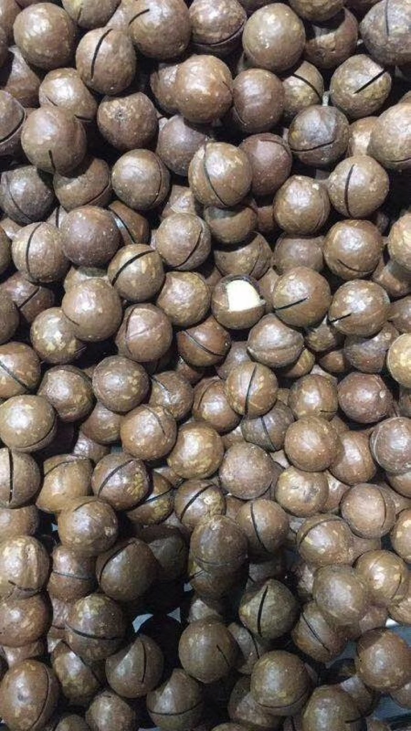 澳洲薄皮夏威夷果奶油味