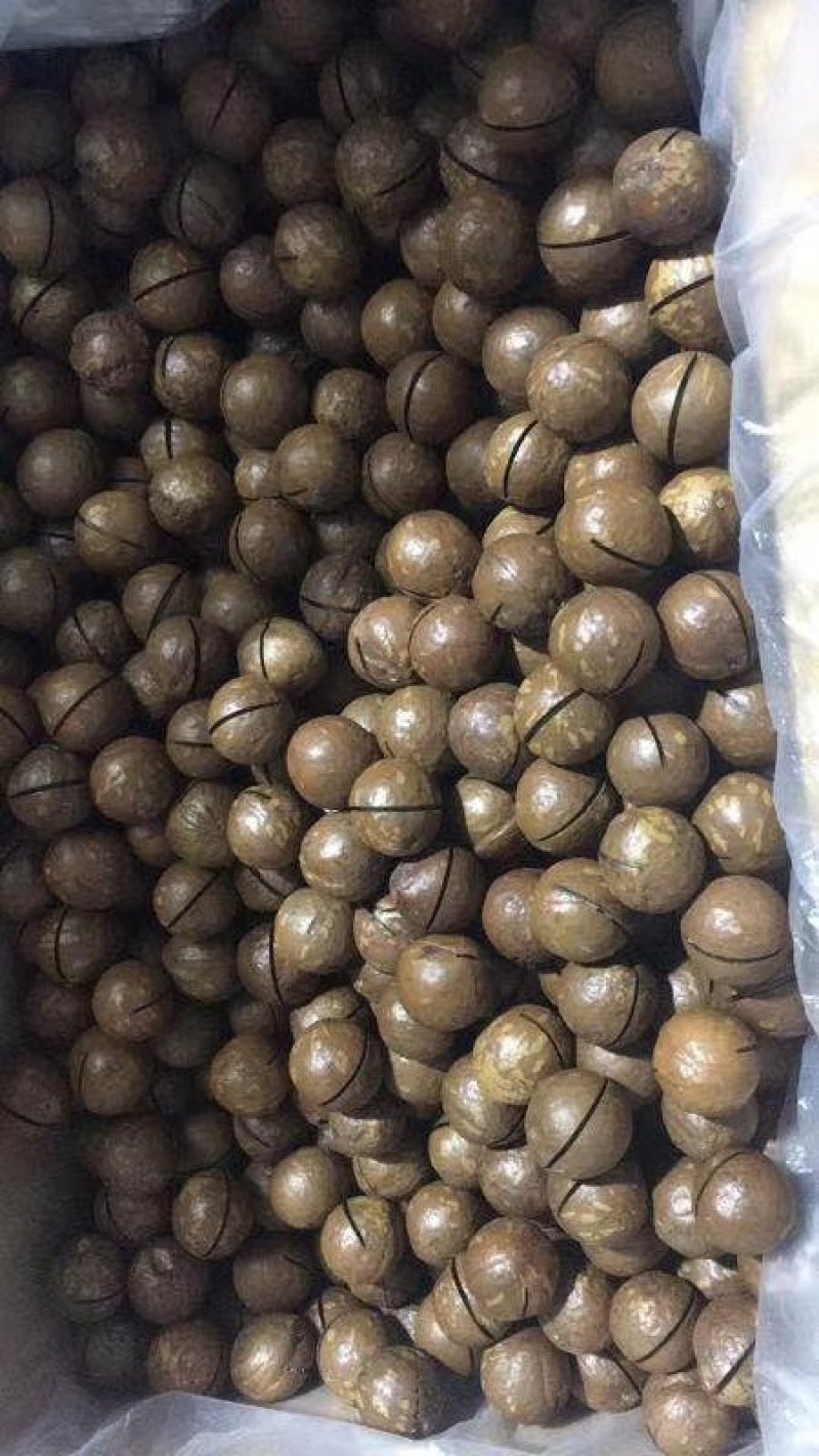 澳洲薄皮夏威夷果奶油味