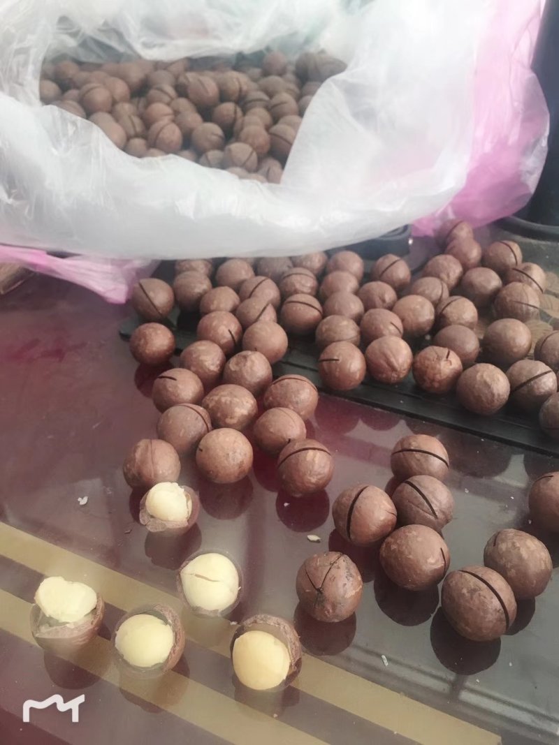 澳洲薄皮夏威夷果奶油味
