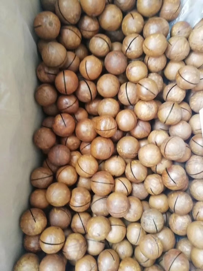 澳洲薄皮夏威夷果奶油味