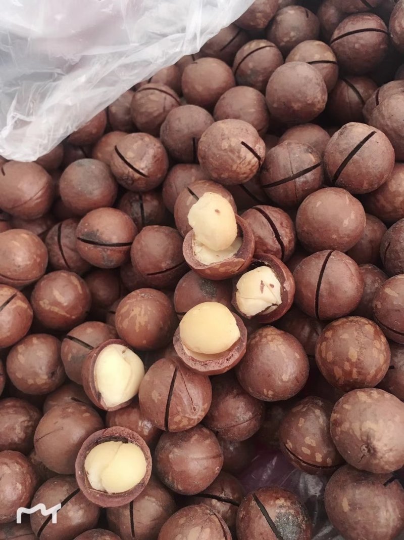 澳洲薄皮夏威夷果奶油味