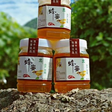 凉山，野生蜂蜜百花蜜