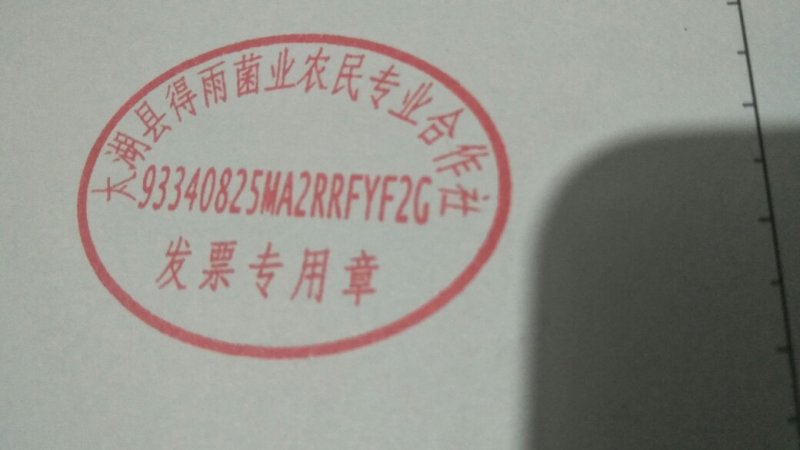 茯苓统丁，鲜茯苓