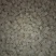 茯苓统丁，鲜茯苓