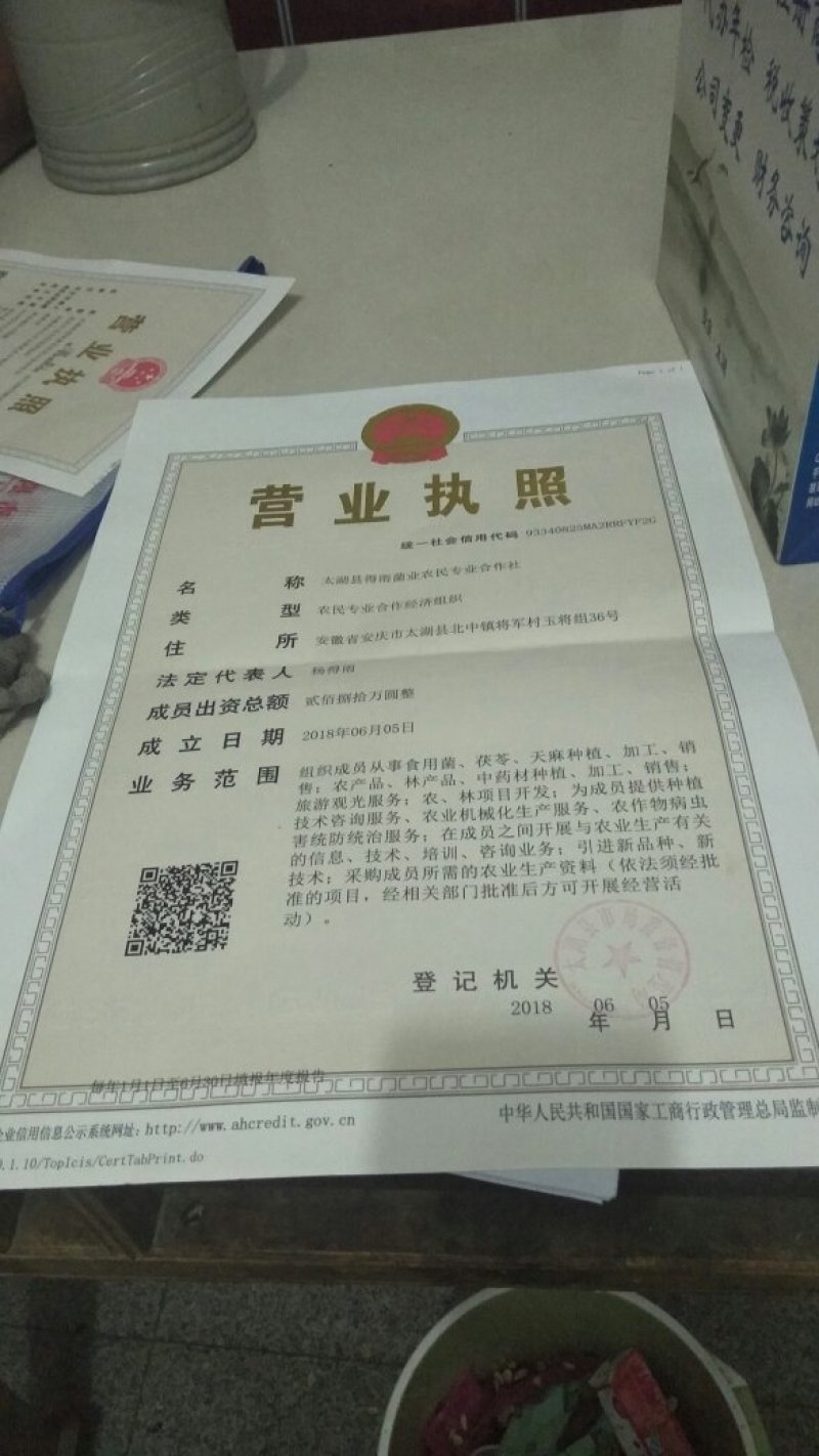 茯苓统丁，鲜茯苓